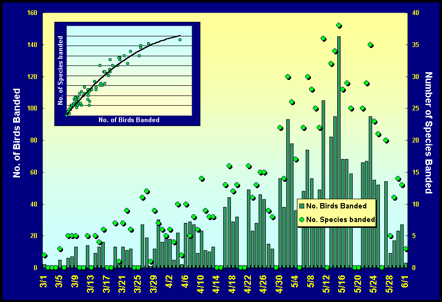 Chart Chart2