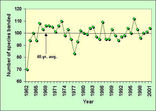 ChartObject Chart 1