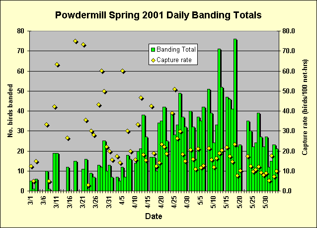 ChartObject Powdermill Spring 2001 Daily Banding Totals