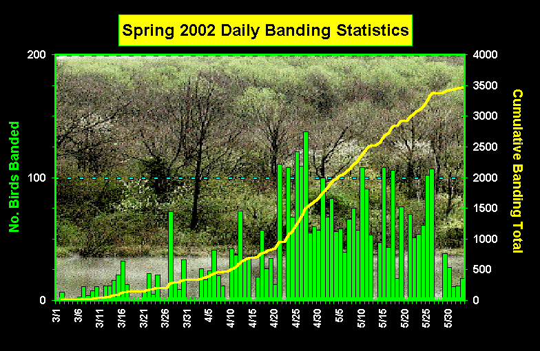 ChartObject Spring 2002 Daily Banding Statistics