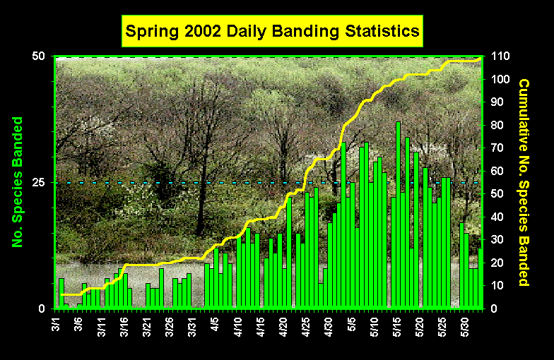 ChartObject Spring 2002 Daily Banding Statistics