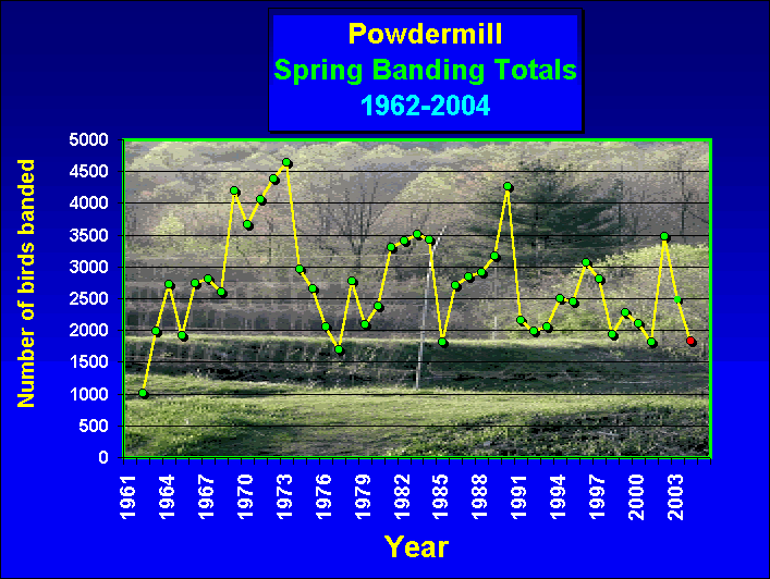 ChartObject Powdermill Spring Banding Totals1962-2004