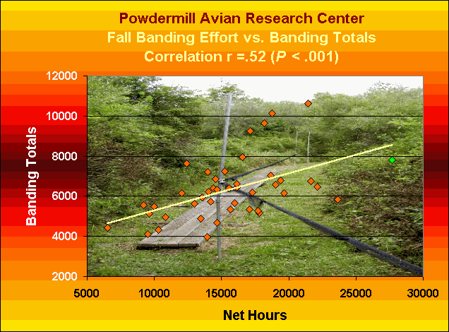 ChartObject Powdermill Avian Research Center  Fall Banding Effort vs. Banding TotalsCorrelation r =.52 (P < .001)
